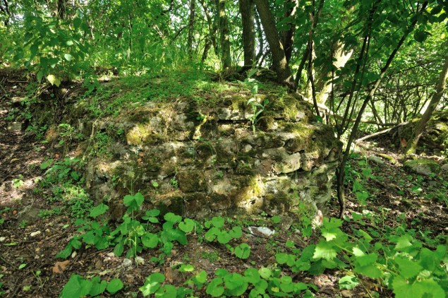 349. Mała Nieszawka. Zamek krzyżacki (ruiny).JPG
