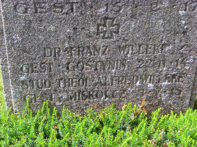 Dr. Willeke-Münster.jpg