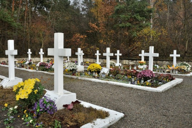 0455. Sochy. Cmentarz ofiar pacyfikacji wsi.JPG