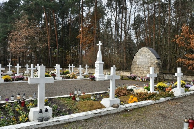 0458. Sochy. Cmentarz ofiar pacyfikacji wsi.JPG