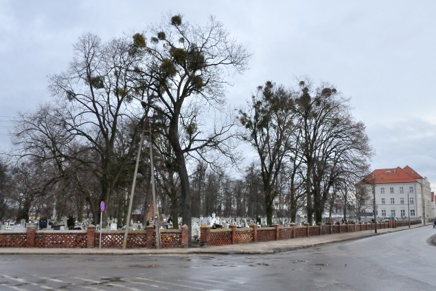 049. Aleksandrów Kujawski. Cmentarz parafialny.JPG