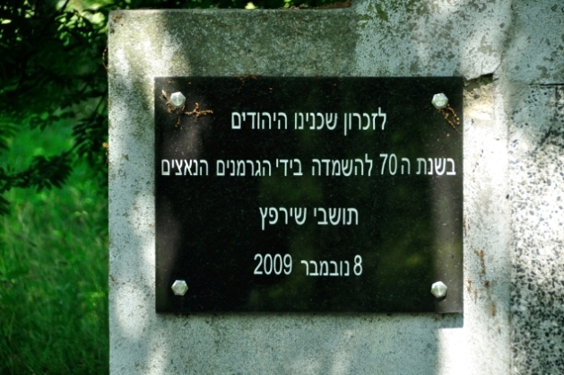 218. Sierpc. Cmentarz żydowski.JPG