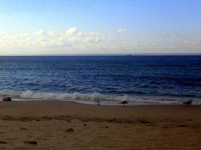 P9230213-tr.Hel plaża zatoka pucka.jpg