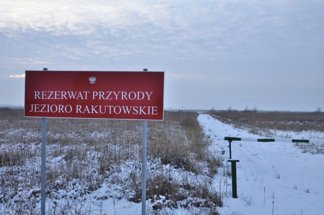 242. Rezerwat Przyrody Jezioro Rakutowskie.JPG