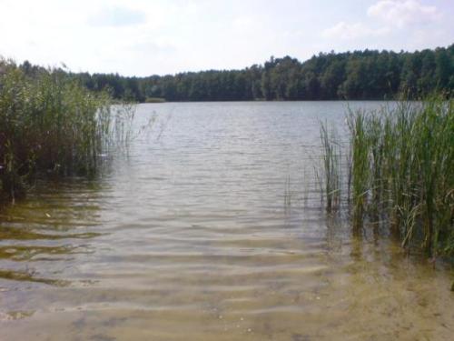 5.Jezioro w Brzeźnie (D. K.).jpg